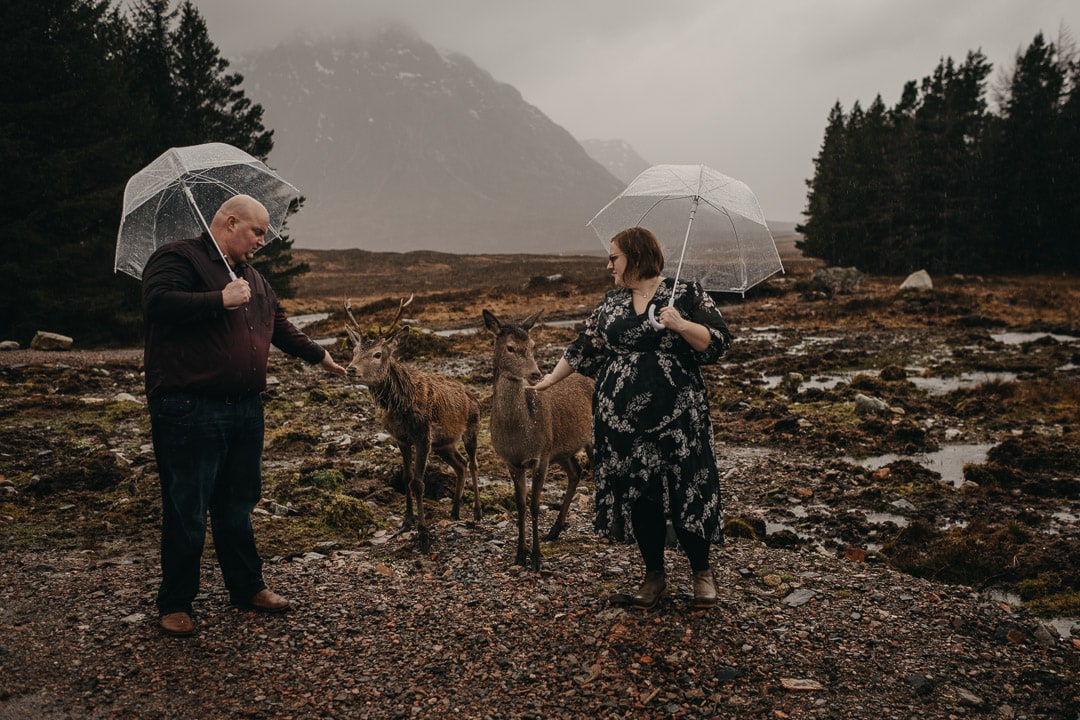 Couples adventure session in Glencoe feeding the deer and stags