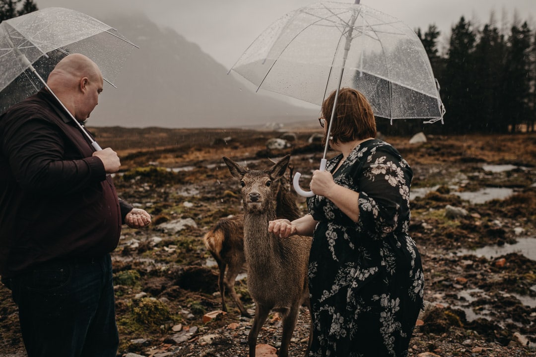 Meeting a deer during adventure session in the Scottish Highlands at Kingshouse Hotel in Glencoe