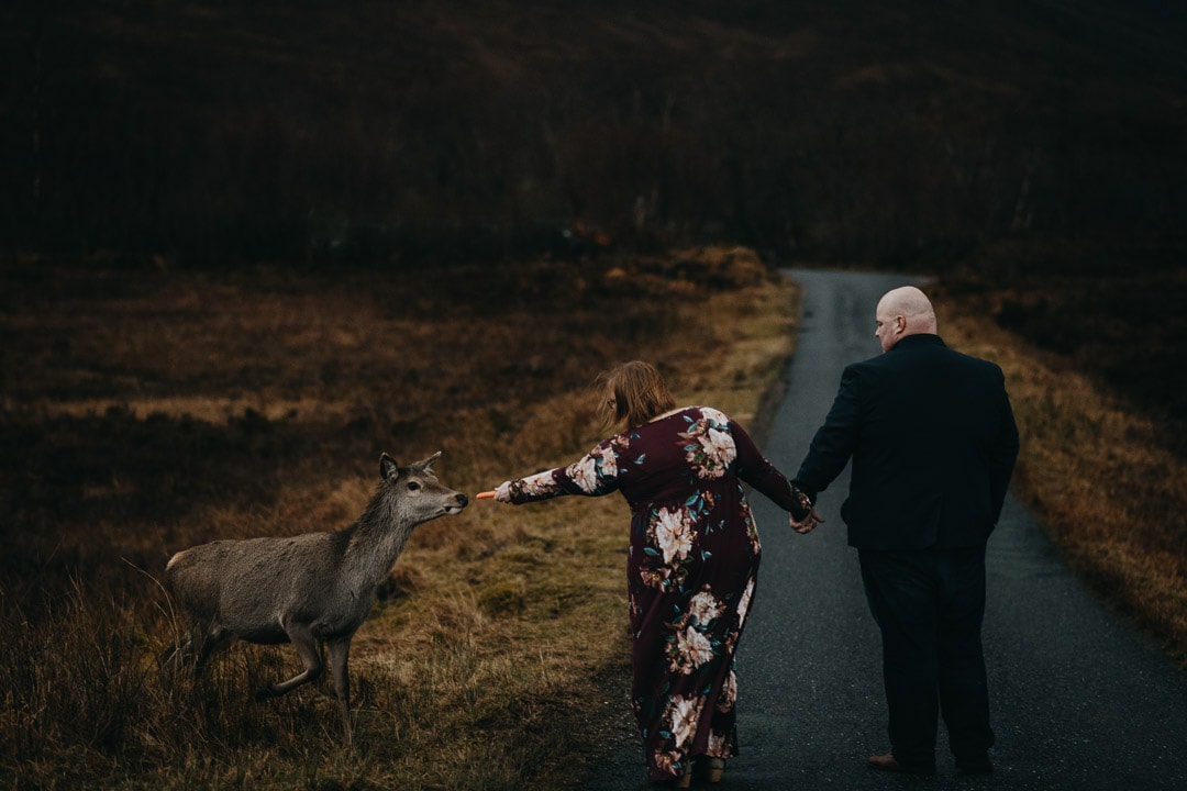 Meeting a deer on the roads to Glen Etive, backdrop to Skyfall during adventure session in the Scottish Highlands