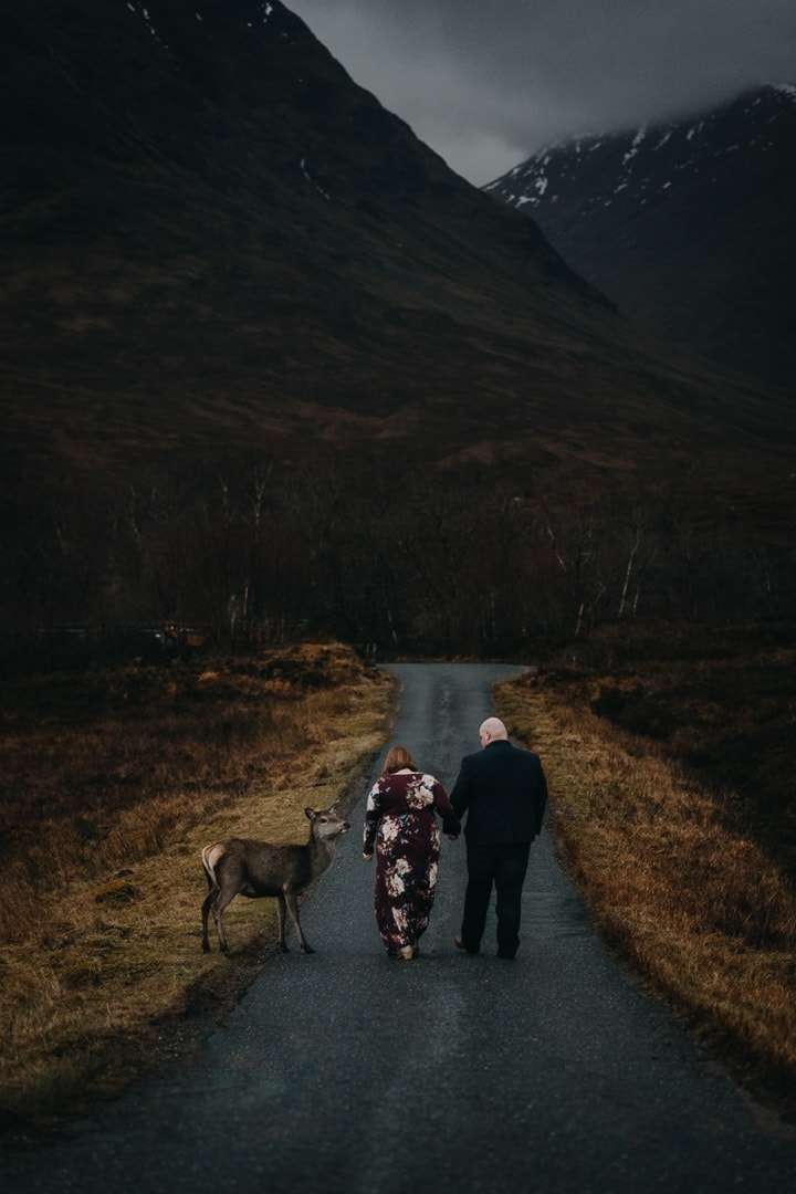 Meeting a deer on the roads to Glen Etive, backdrop to Skyfall during adventure session in the Scottish Highlands