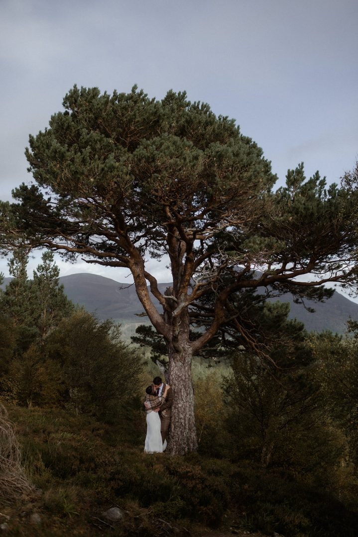 Couple under scots pine tree at Loch Morlich autumnal cairngorms elopement
