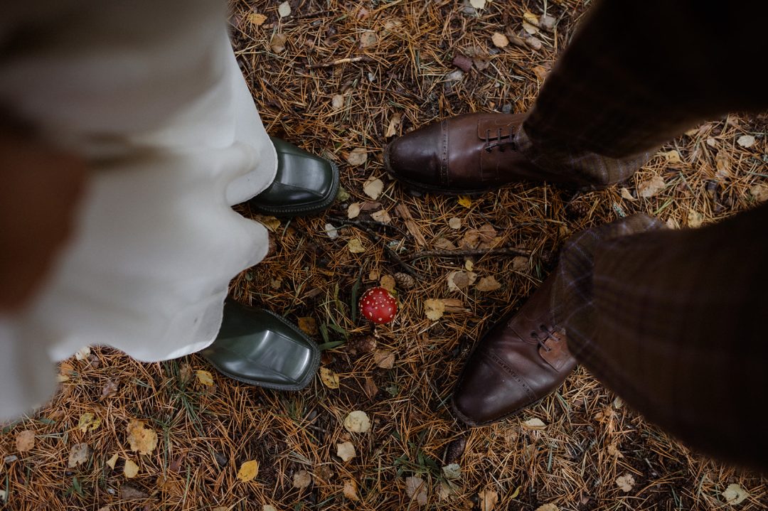 Mushroom at Loch Morlich autumnal cairngorms elopement