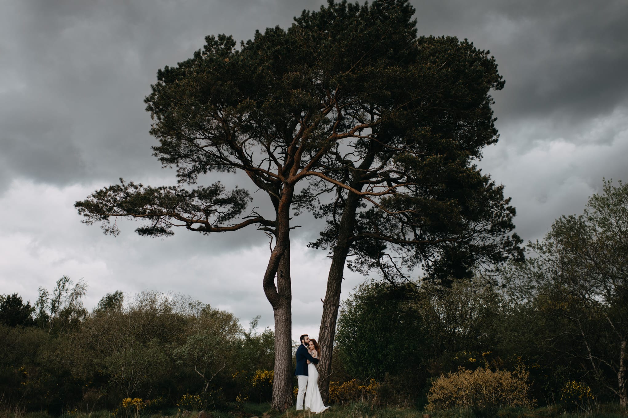 Elopement in nature Scotland. Stormy tree shot with Lena Sabala and Patrick Zaarour on Mark Pacura workshop.